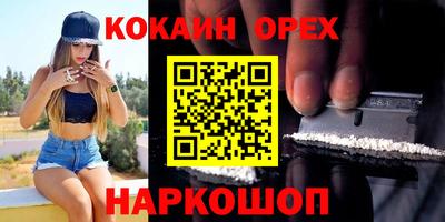 соль ск Можга