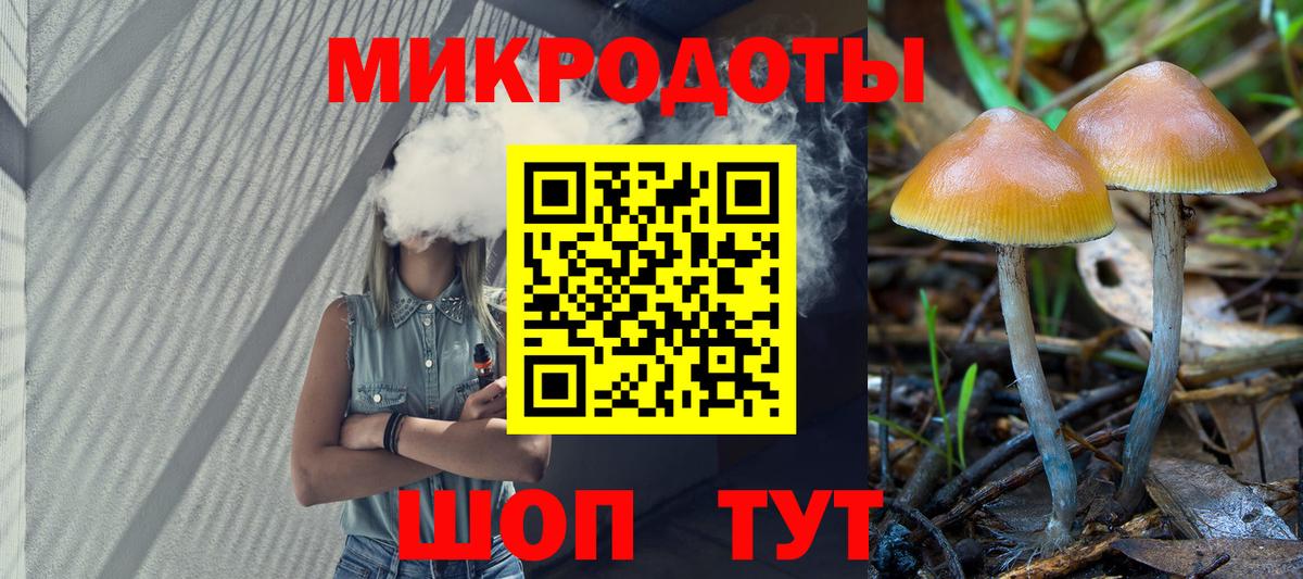 Чернушка  Галлюциногенные грибы Psilocybe  Вход с VPN 