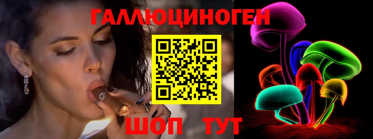 Галлюциногенные грибы MAGIC MUSHROOMS Чернушка
